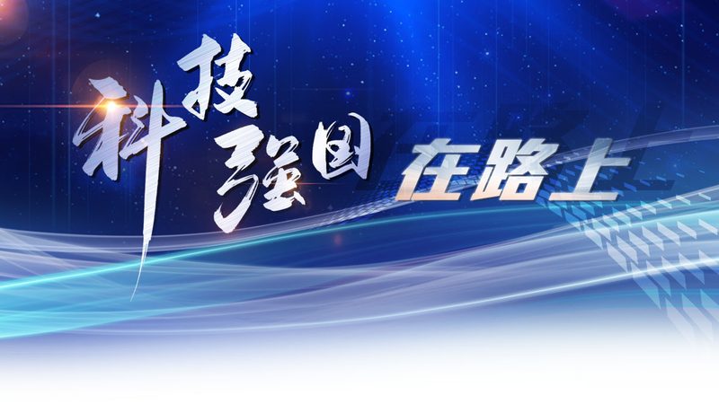 外贸全流程SAAS平台：优缺点解析与选购要点