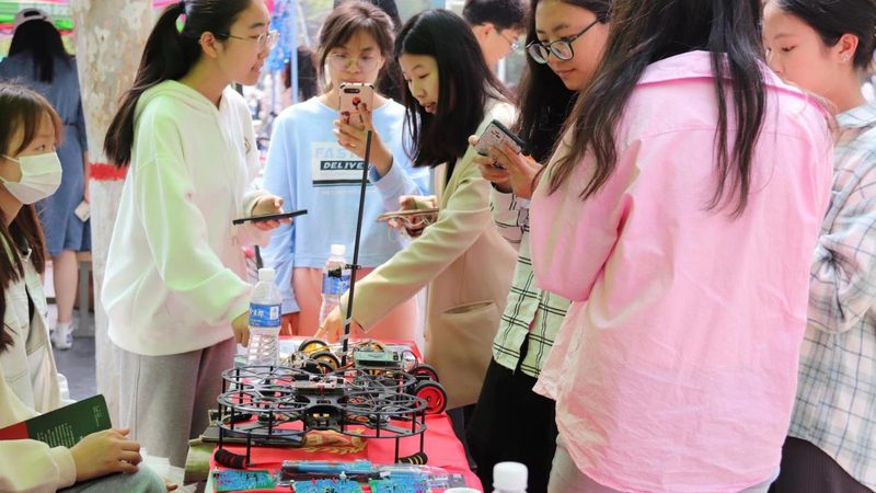 数据可视化平台：揭示其优势与挑战